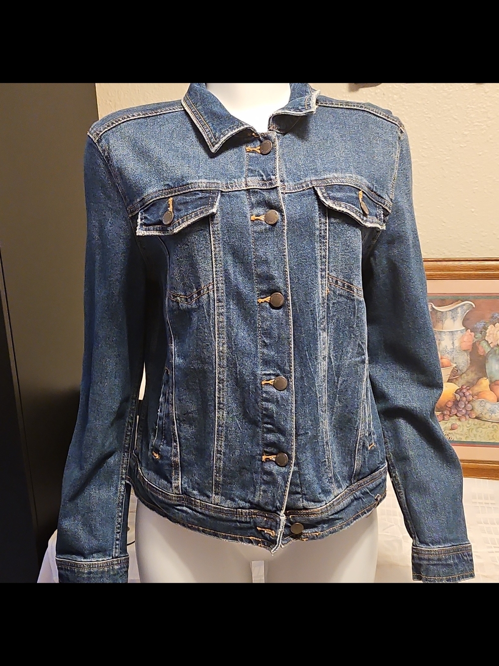 Universal Thread Women's Indigo Denim Jacket